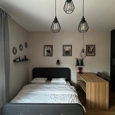 Manu Park Studio Apartman Łódź Kültér fotó